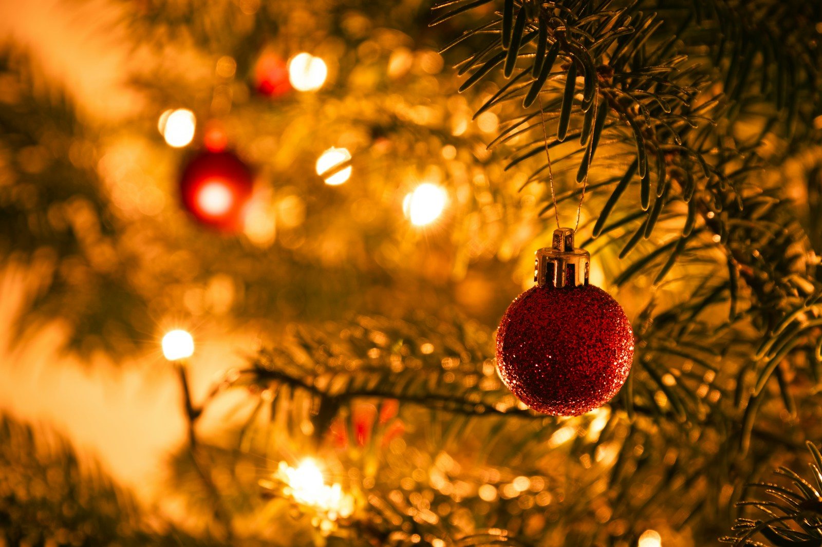 a red ornament hanging from a christmas tree